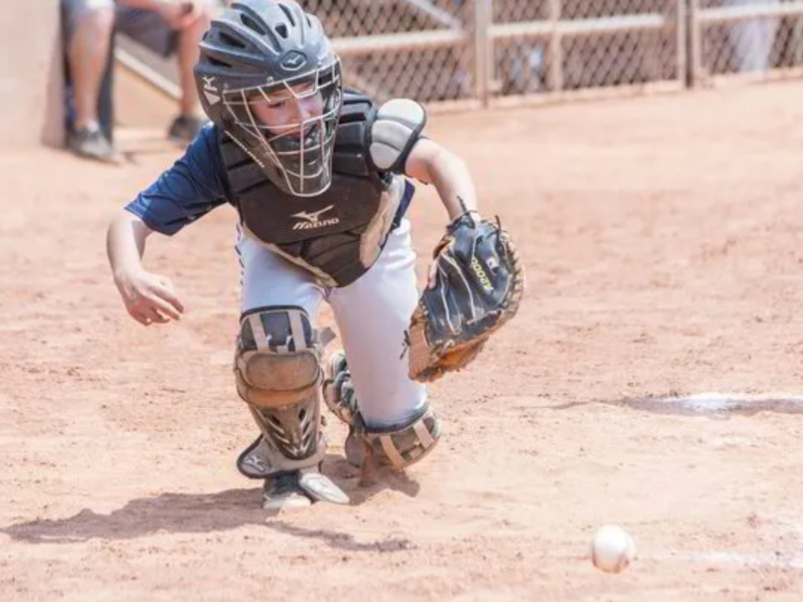 Baseball & Softball